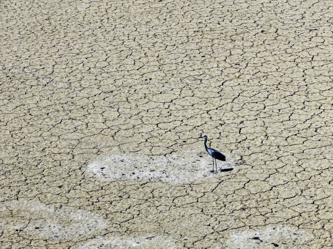 Rakamlar hiç bu kadar korkutmamıştı! Konya çölleşiyor 26